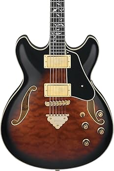 Amazon.com: Ibanez AS93QMSP Artcore Expressionist 6-String Right